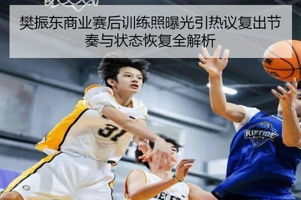 樊振东商业赛后训练照曝光引热议复出节奏与状态恢复全解析